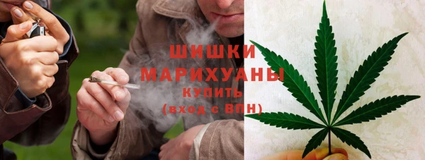 гидра Гусев