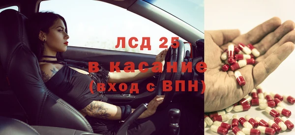 бошки Аркадак