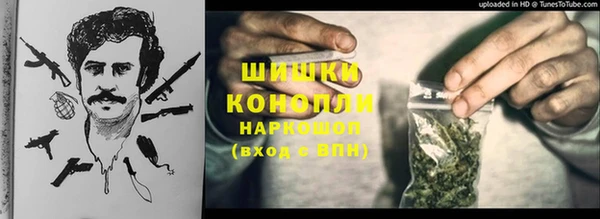 бошки Аркадак