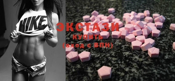индика Гусь-Хрустальный