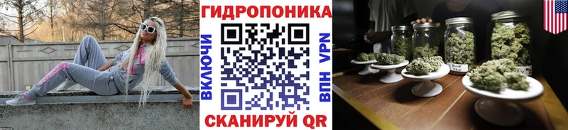 Бошки марихуана гибрид  Губкин 